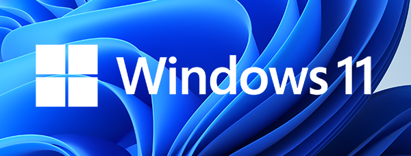 Microsoft Windows11 Home 64bit 日本語 DSP版